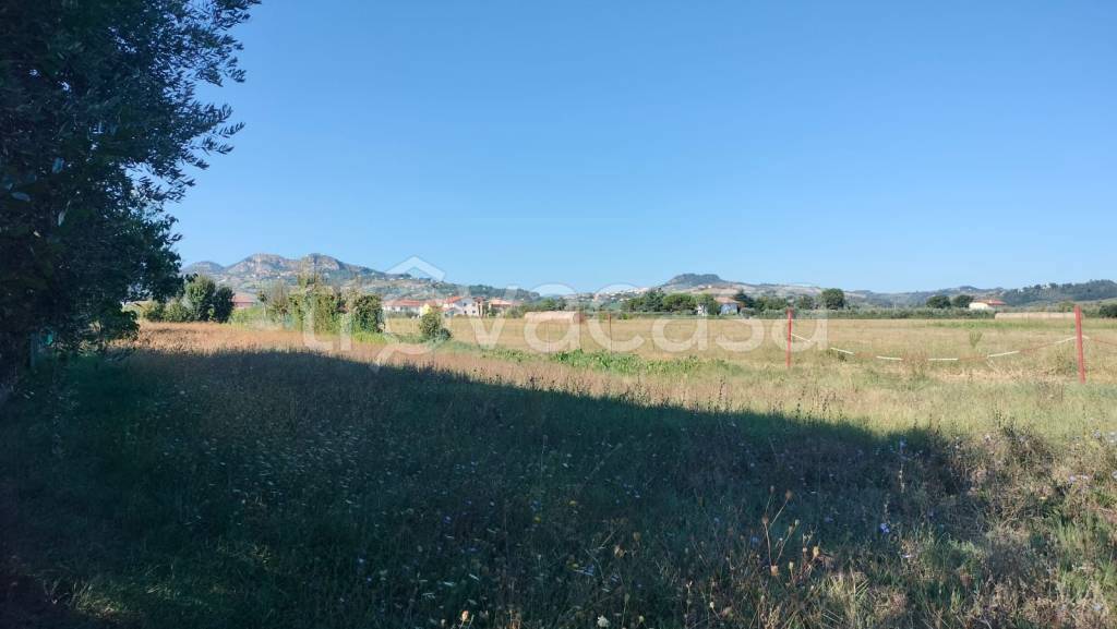 immagine annuncio 3 di 8