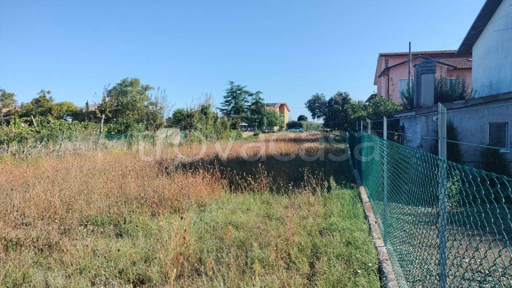 immagine annuncio 6 di 8