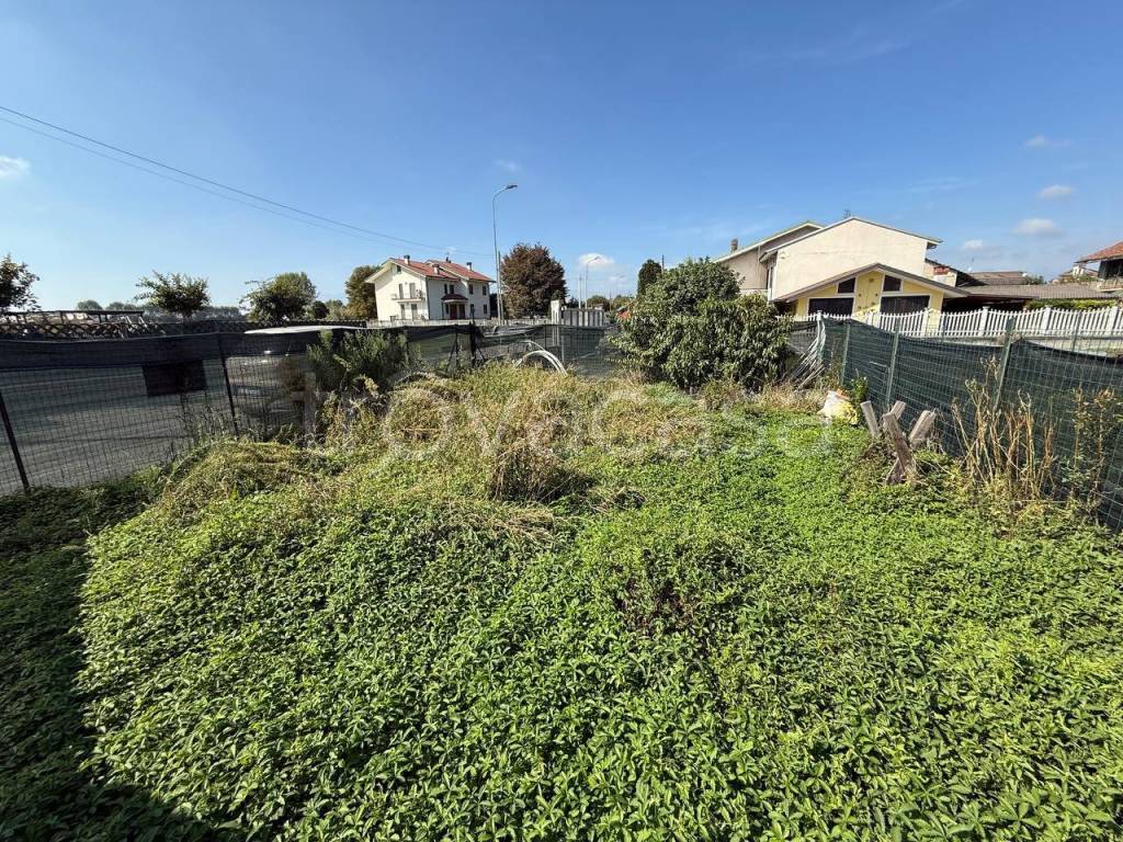 immagine annuncio 3 di 15