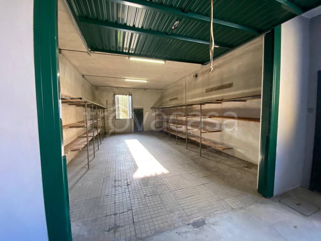 immagine annuncio 9 di 13