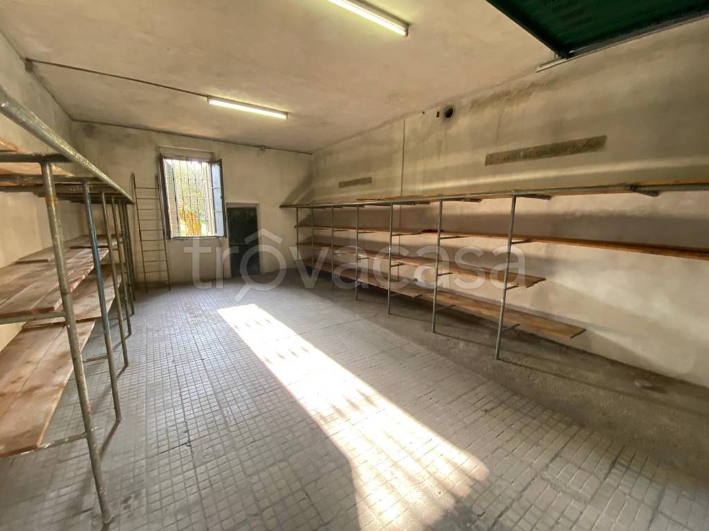 immagine annuncio 3 di 13