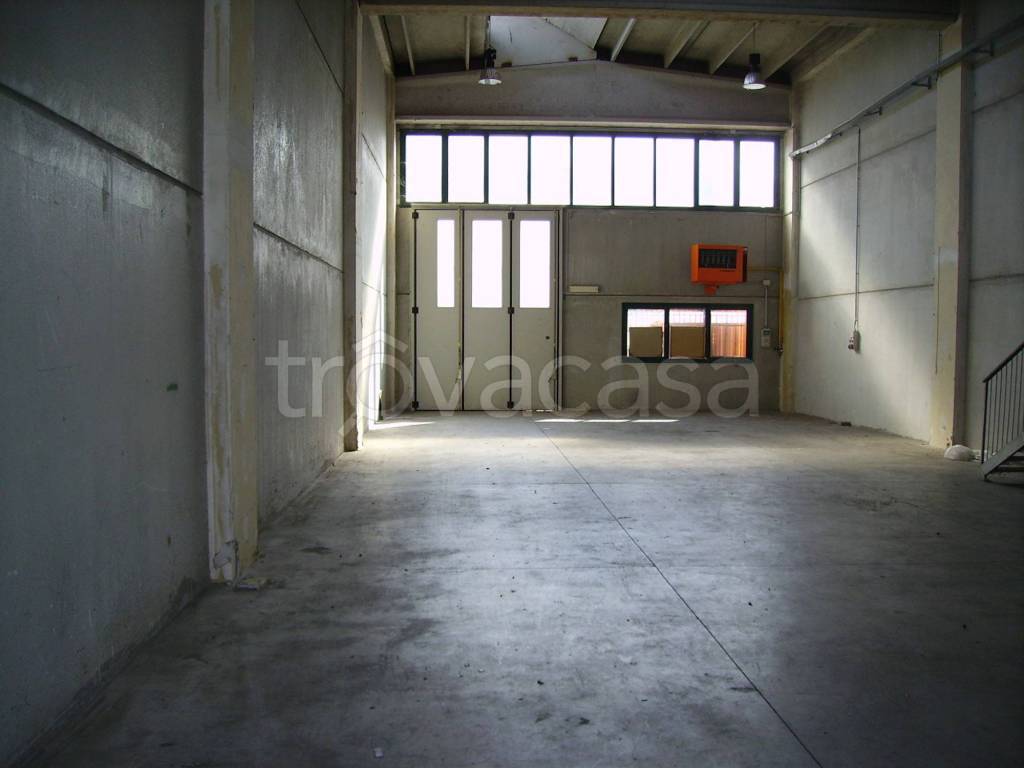 immagine annuncio 1 di 8