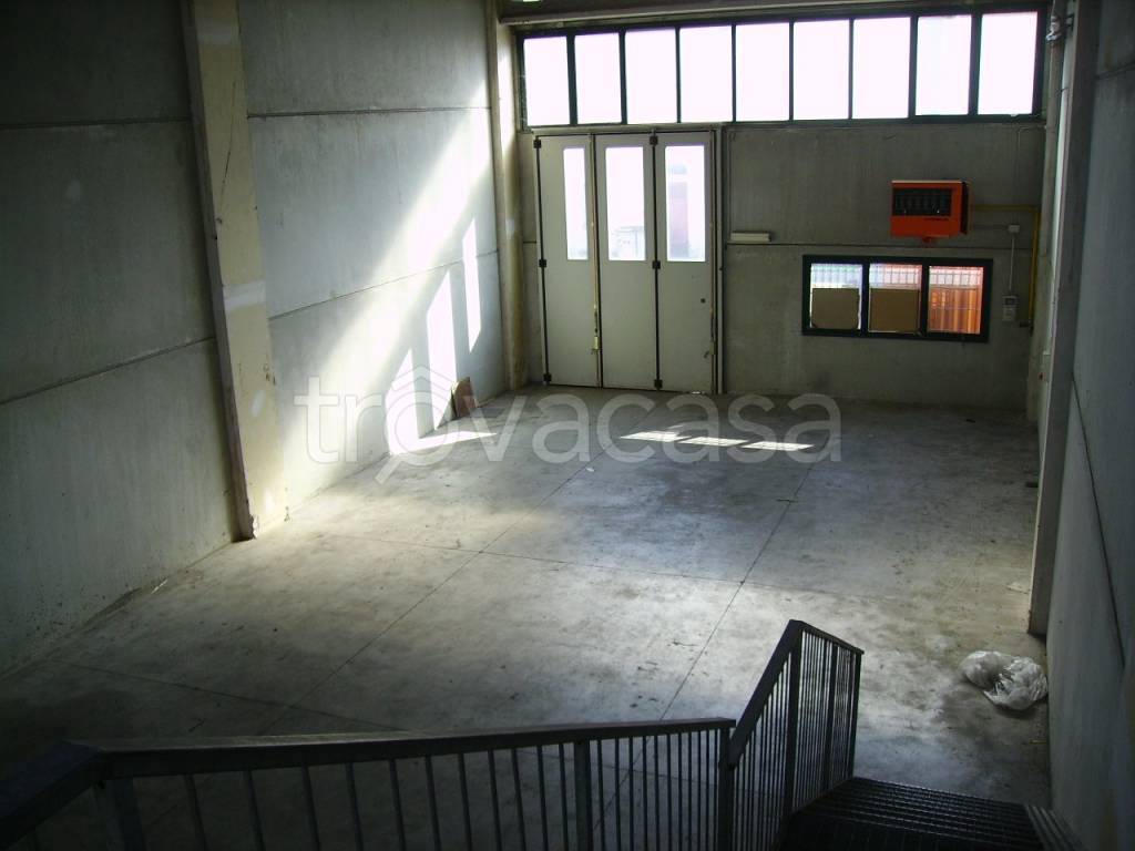 immagine annuncio 3 di 8