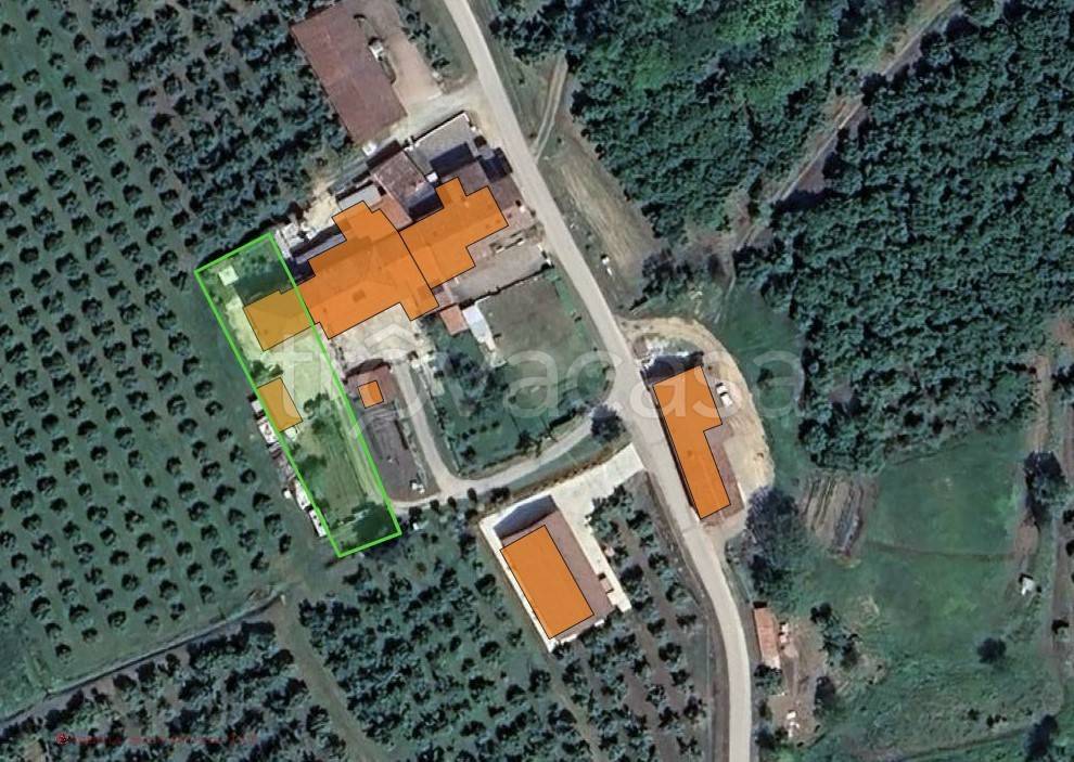 immagine annuncio 11 di 13