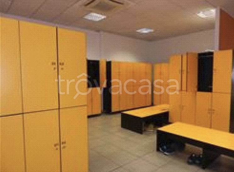 immagine annuncio 2 di 9