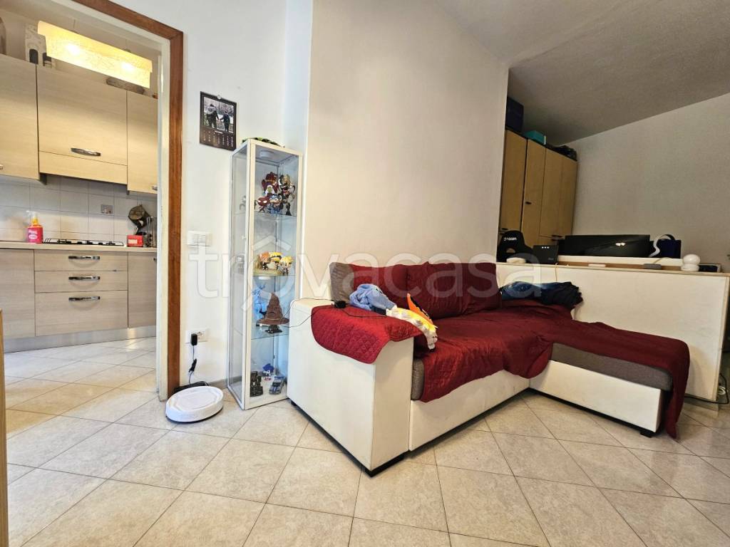 immagine annuncio 7 di 15