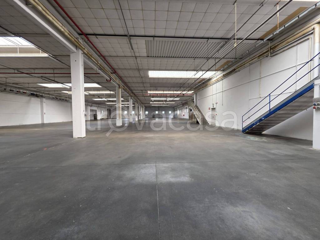 immagine annuncio 5 di 14