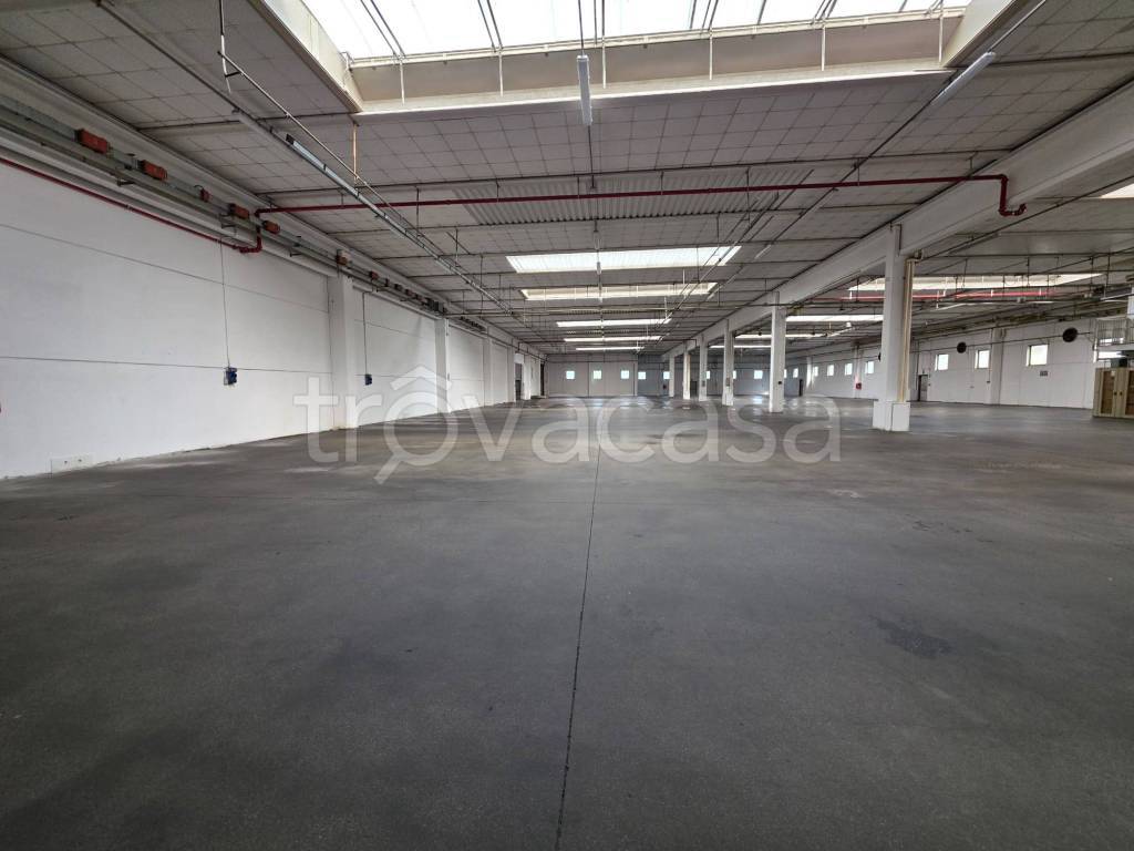 immagine annuncio 6 di 14