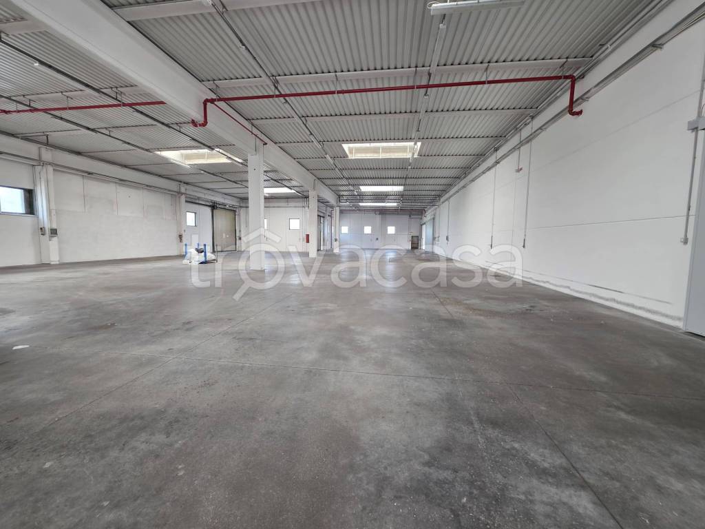 immagine annuncio 8 di 14