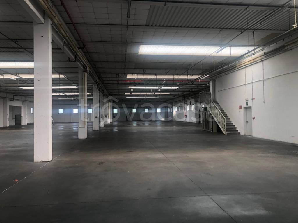 immagine annuncio 10 di 14