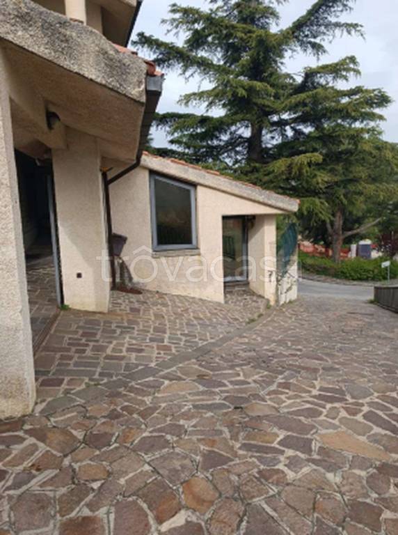 immagine annuncio 11 di 12