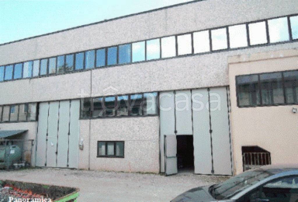 immagine annuncio 11 di 14