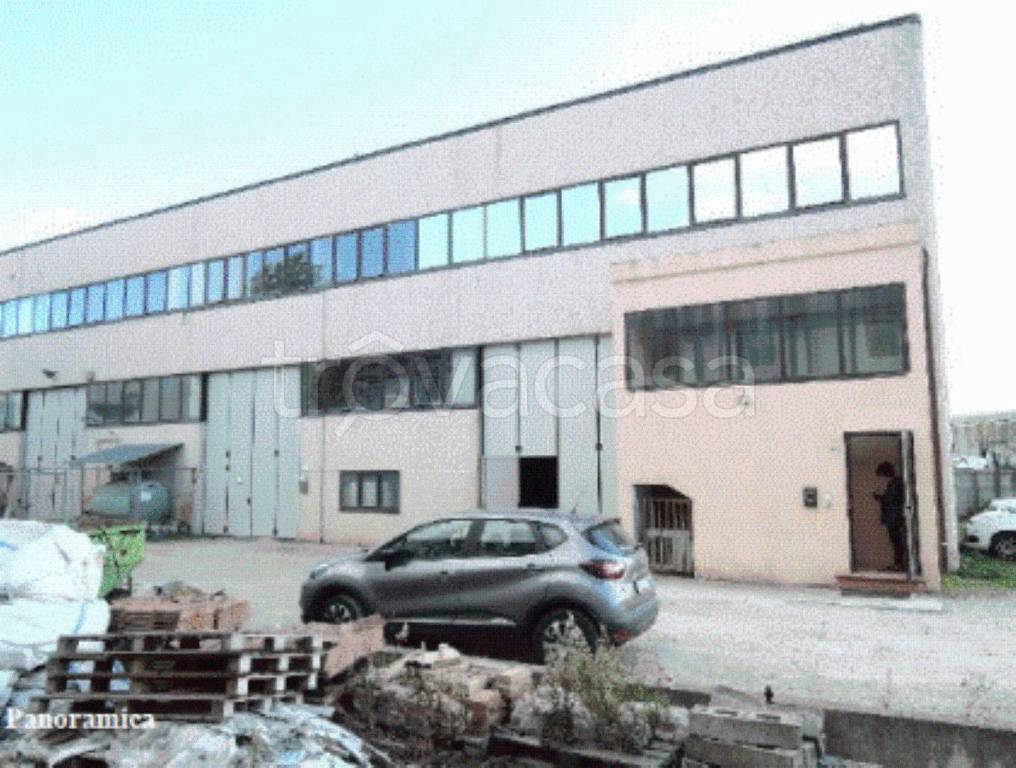 immagine annuncio 1 di 14