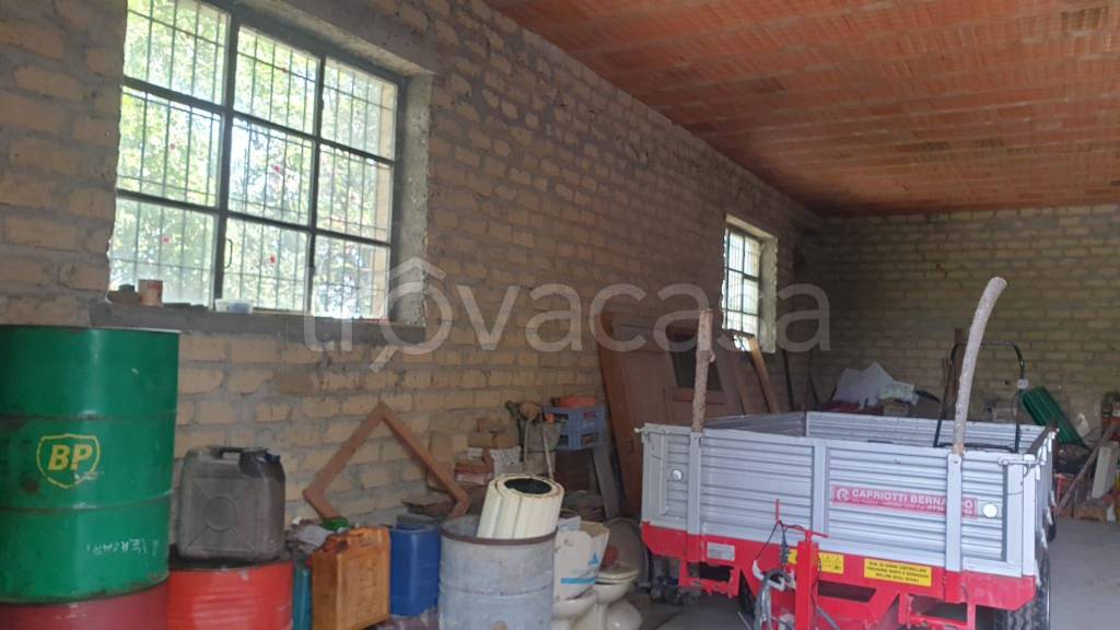 immagine annuncio 3 di 13