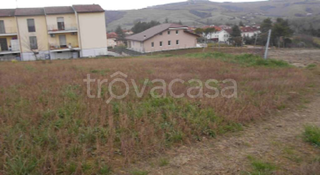 immagine annuncio 6 di 11