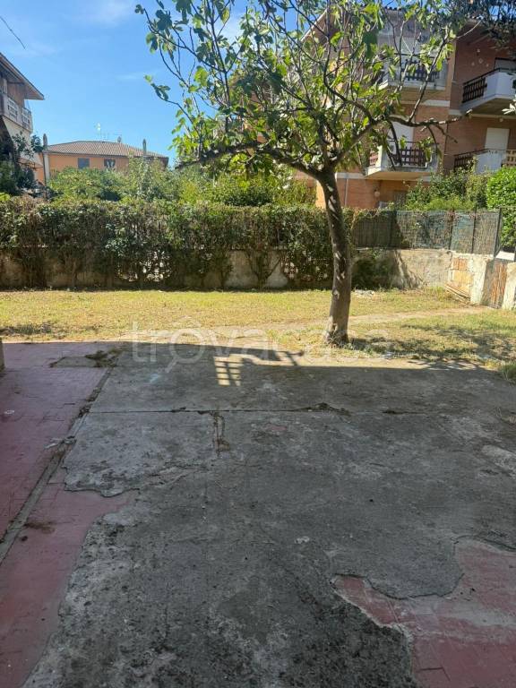 immagine annuncio 1 di 6