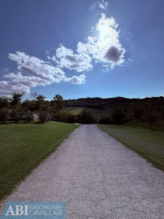 immagine annuncio 5 di 6