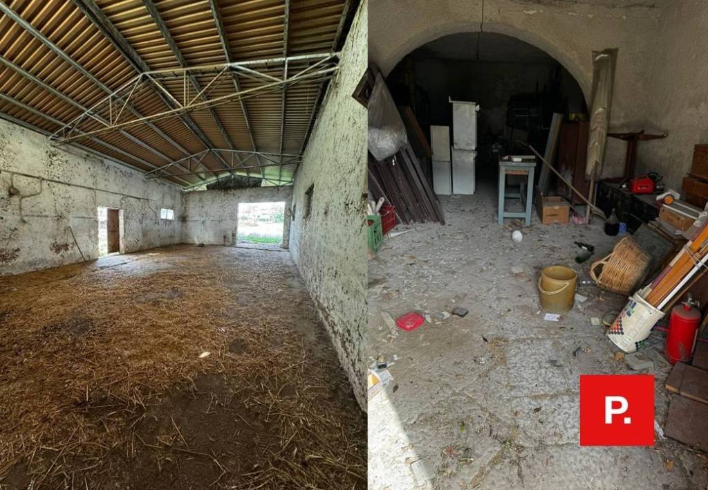immagine annuncio 6 di 12