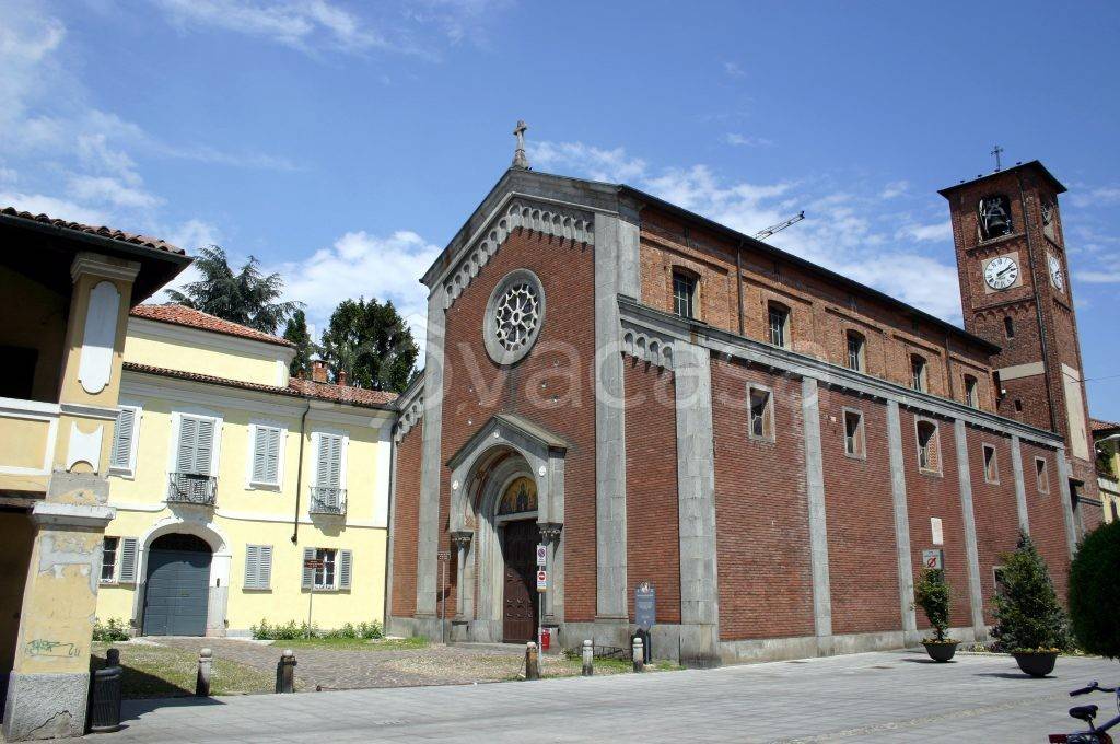 immagine annuncio 6 di 15