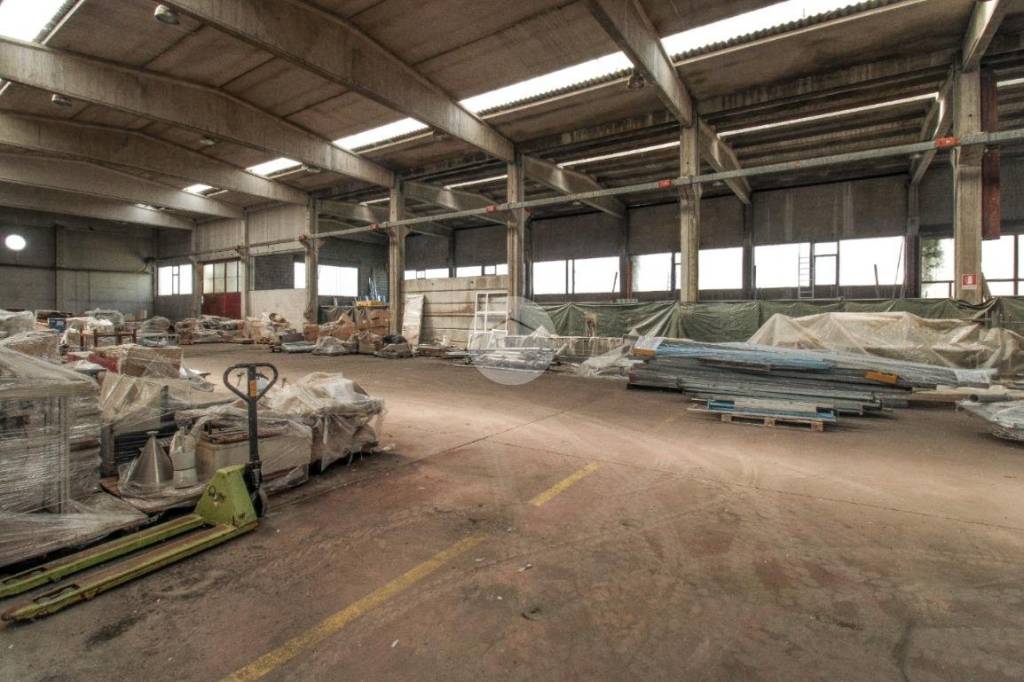 immagine annuncio 5 di 15