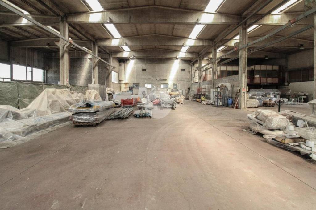 immagine annuncio 6 di 15