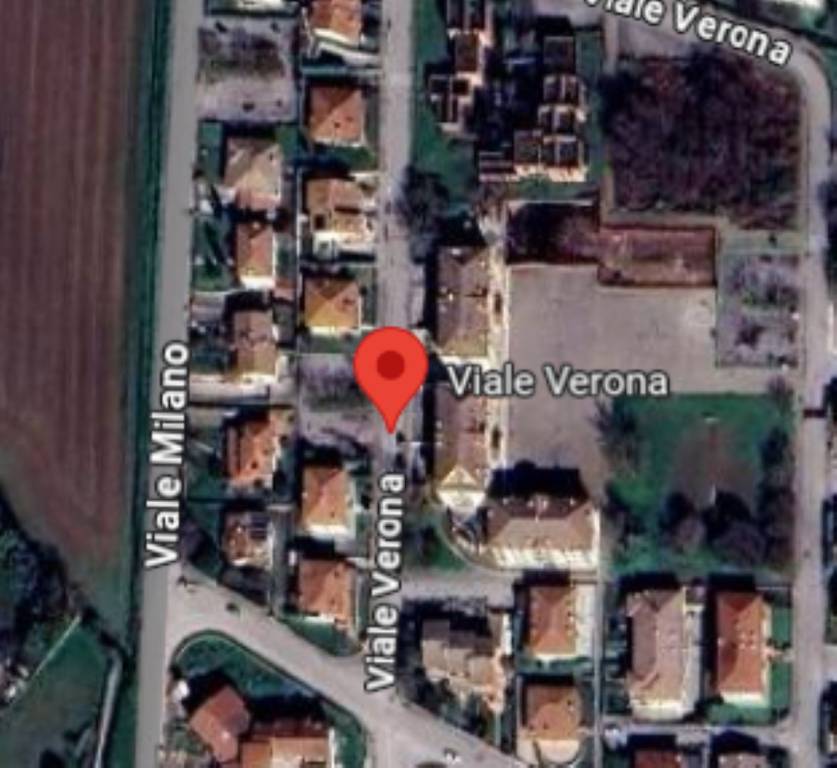 immagine annuncio 5 di 11