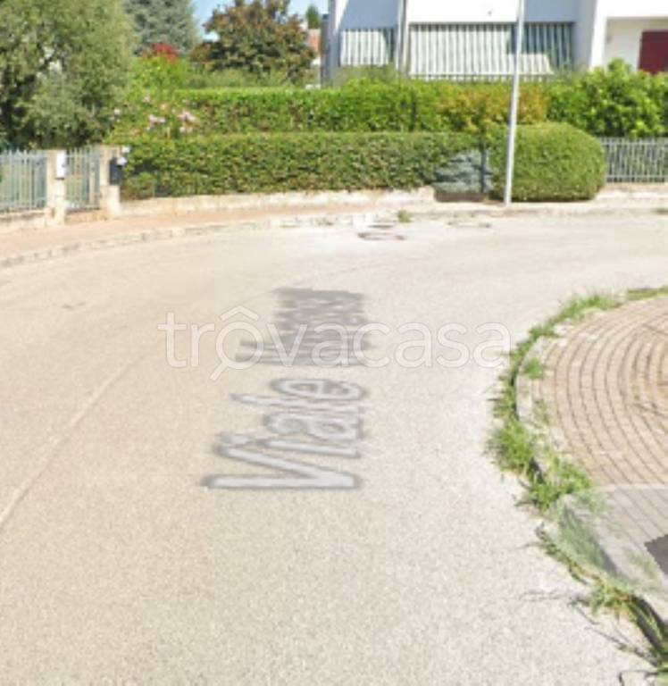 immagine annuncio 6 di 11