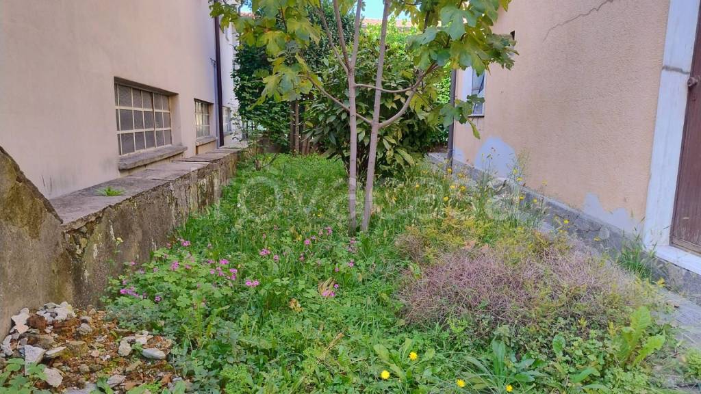 immagine annuncio 3 di 8