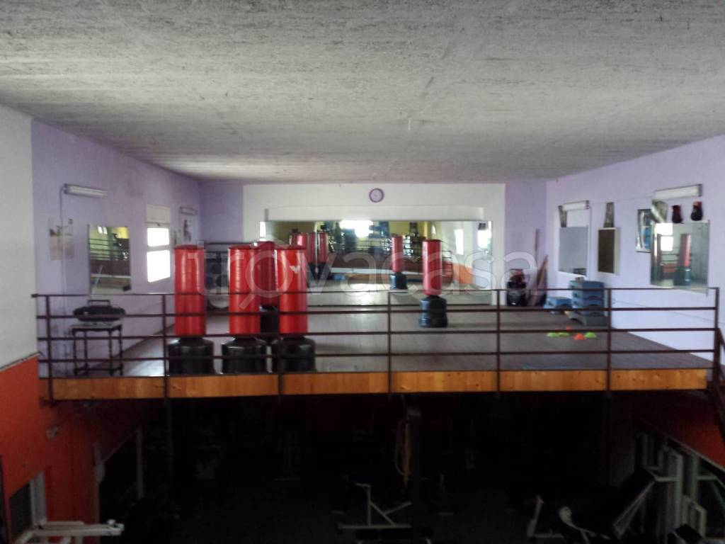 immagine annuncio 2 di 11