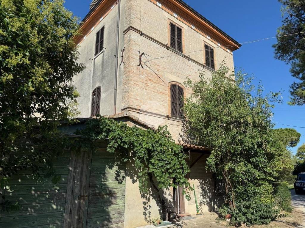 immagine annuncio 4 di 13