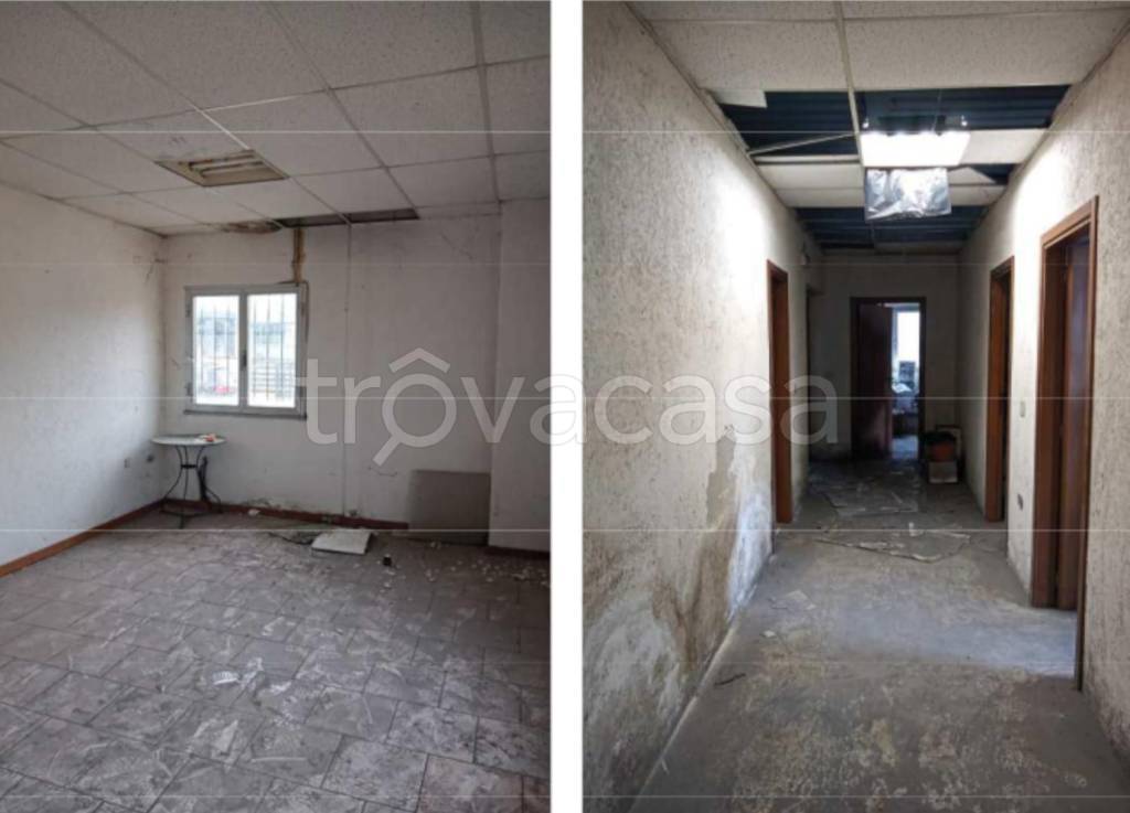 immagine annuncio 2 di 8