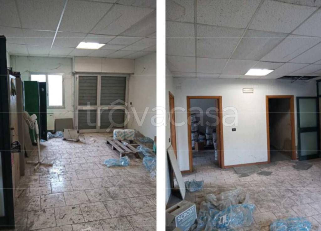 immagine annuncio 3 di 8