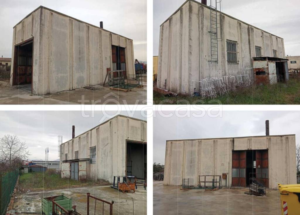 immagine annuncio 6 di 8