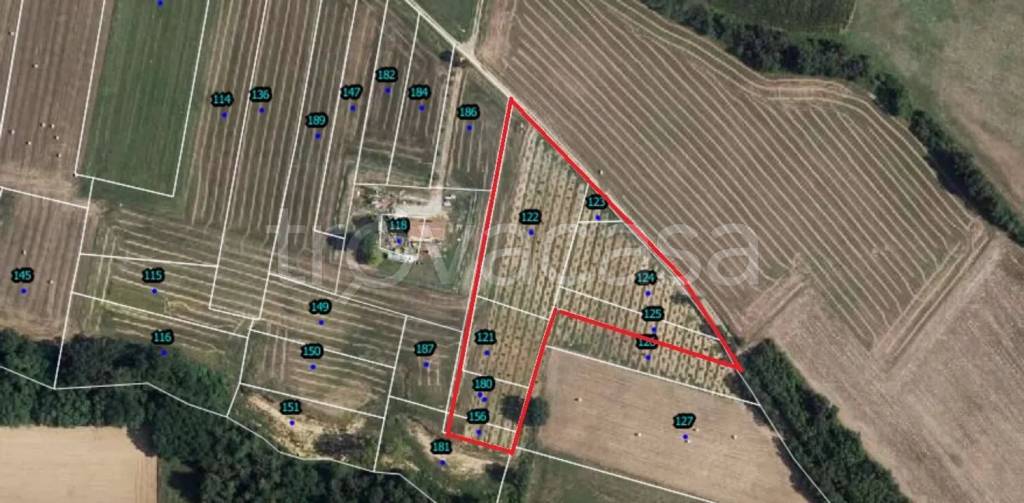 immagine annuncio 2 di 3