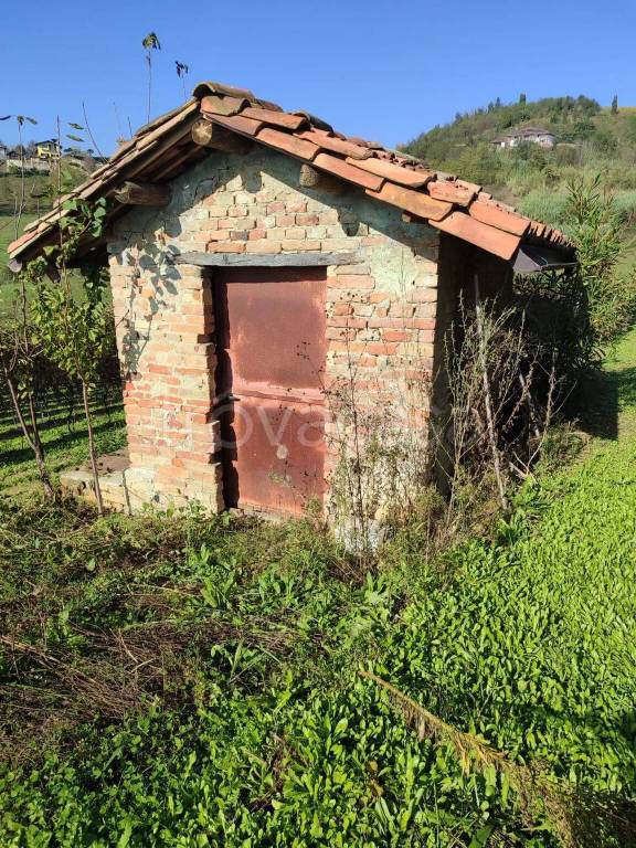 immagine annuncio 1 di 8