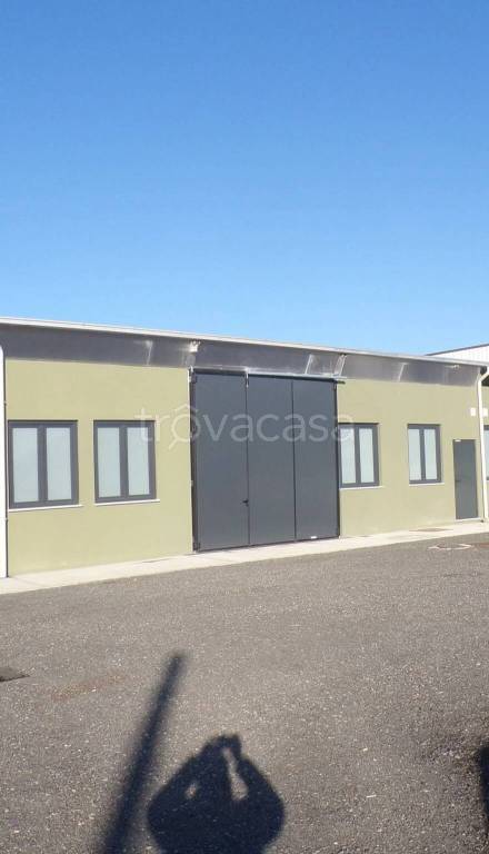 immagine annuncio 3 di 13