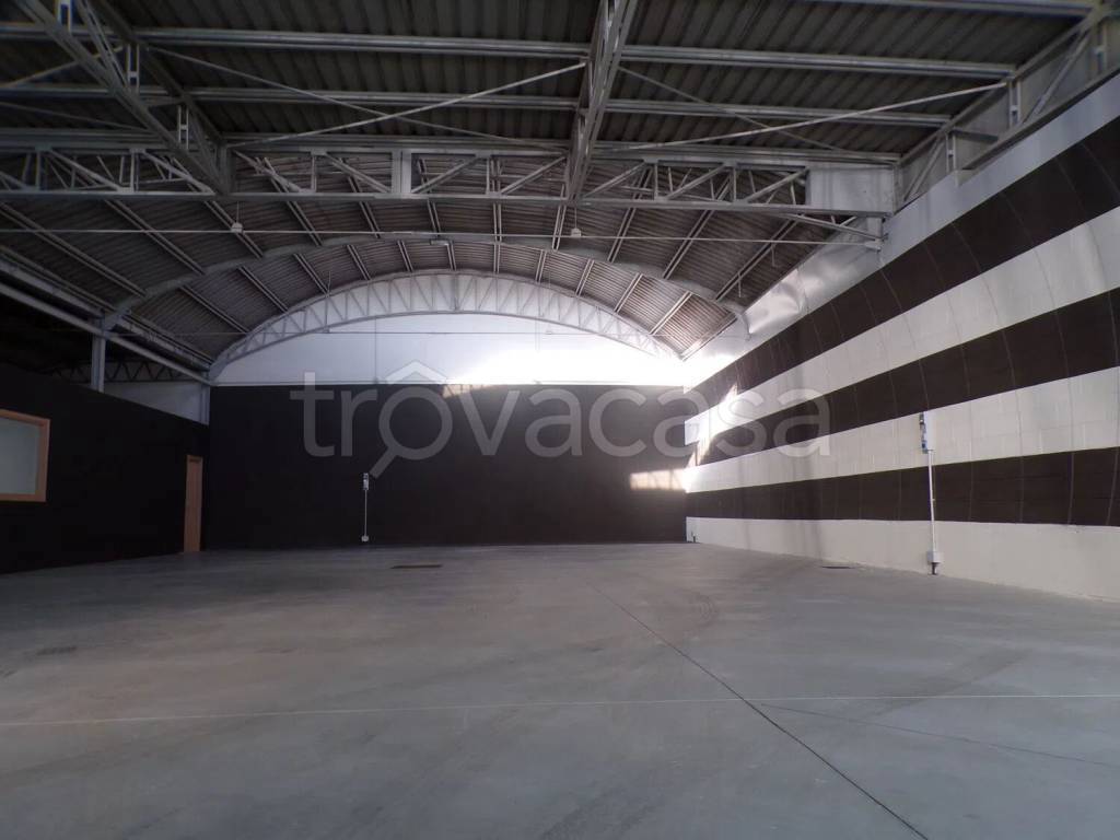 immagine annuncio 5 di 13