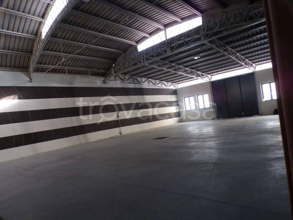 immagine annuncio 6 di 13