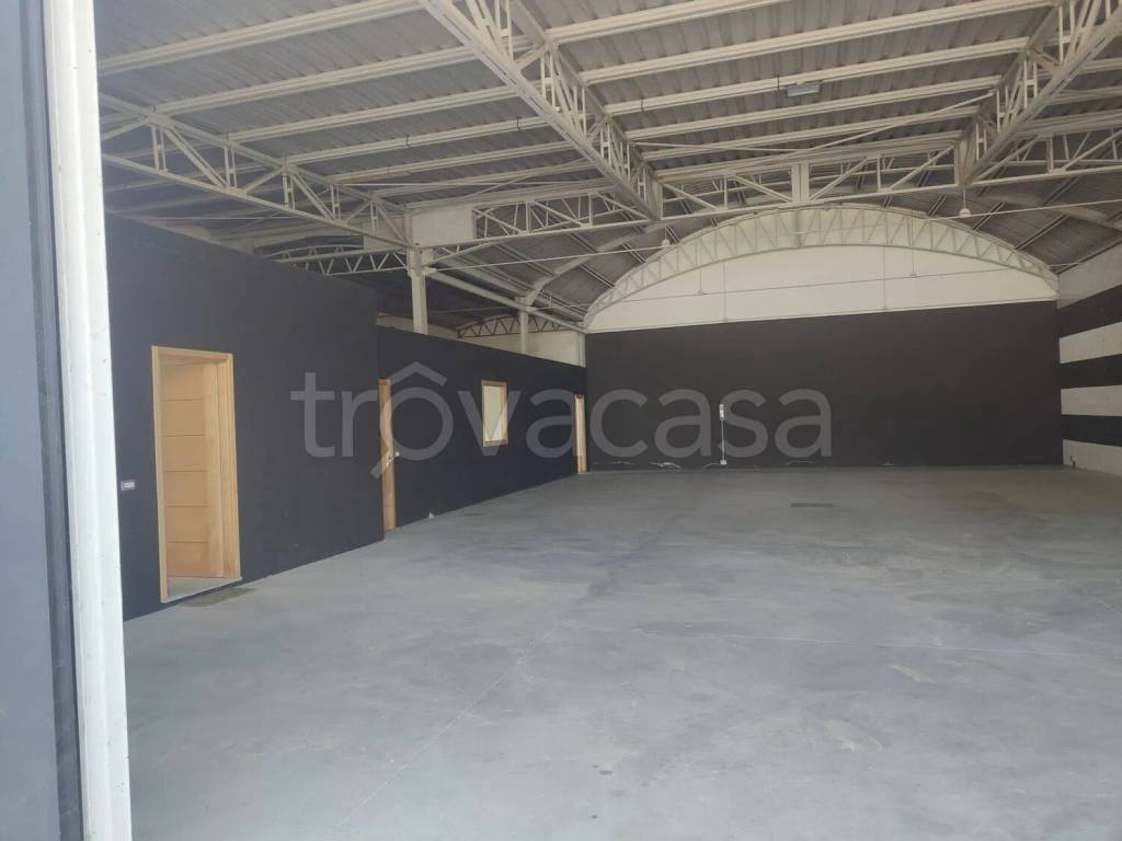 immagine annuncio 9 di 13