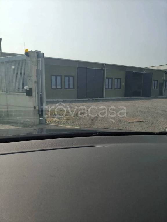 immagine annuncio 12 di 13