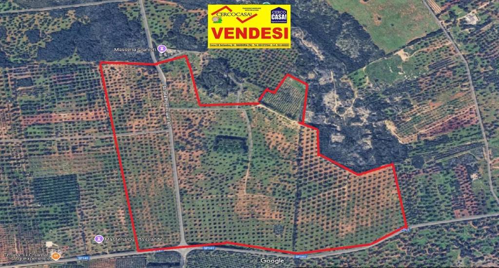 immagine annuncio 5 di 7