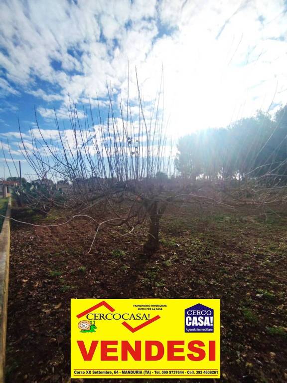 immagine annuncio 6 di 14