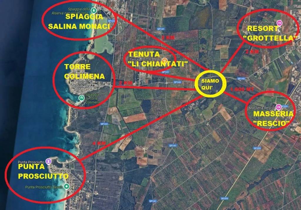 immagine annuncio 13 di 14