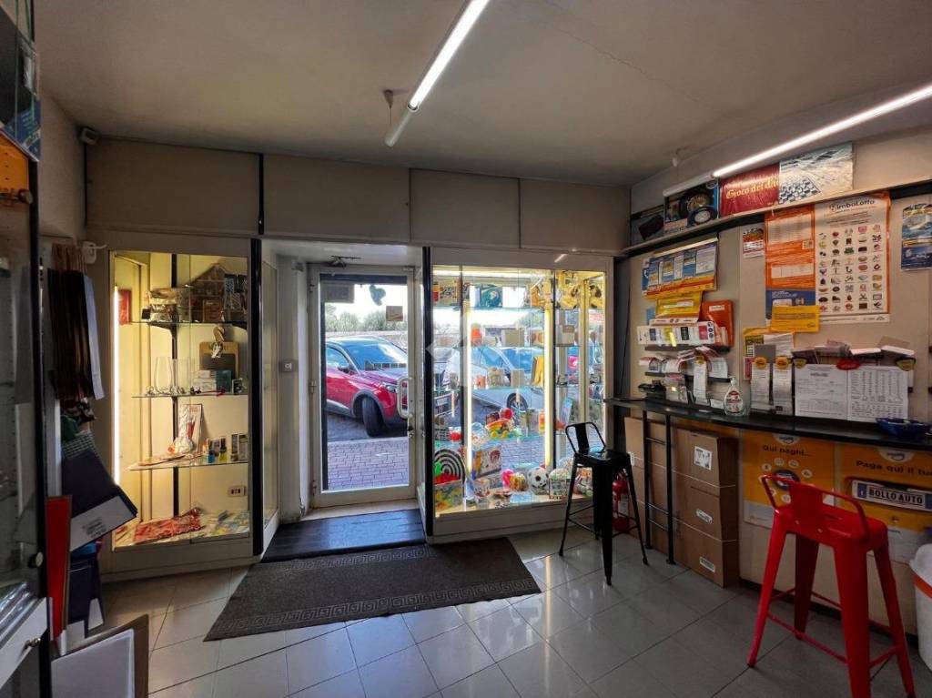 immagine annuncio 3 di 12