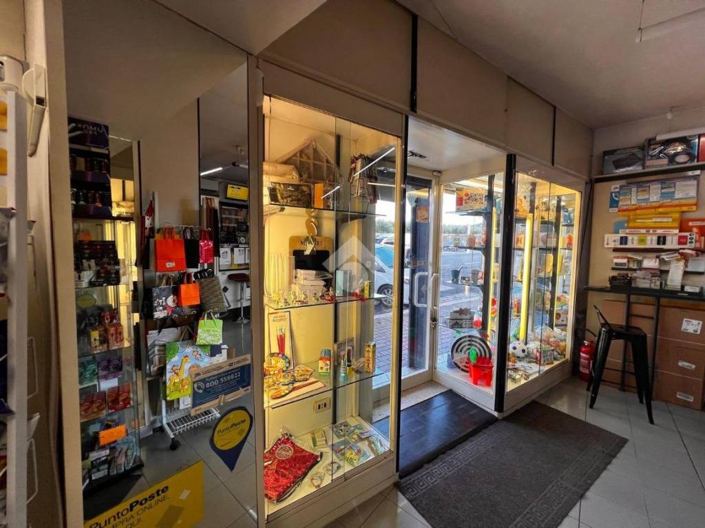 immagine annuncio 4 di 12