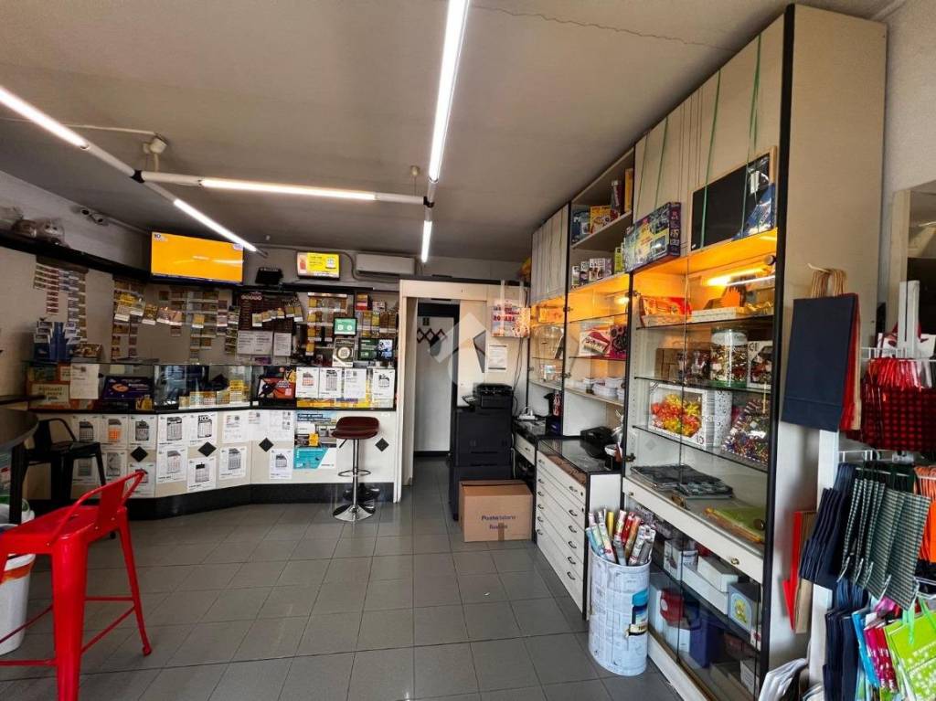 immagine annuncio 6 di 12