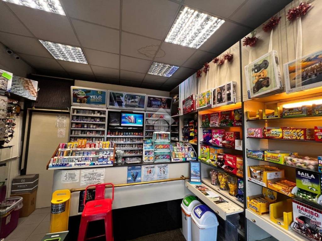 immagine annuncio 7 di 12