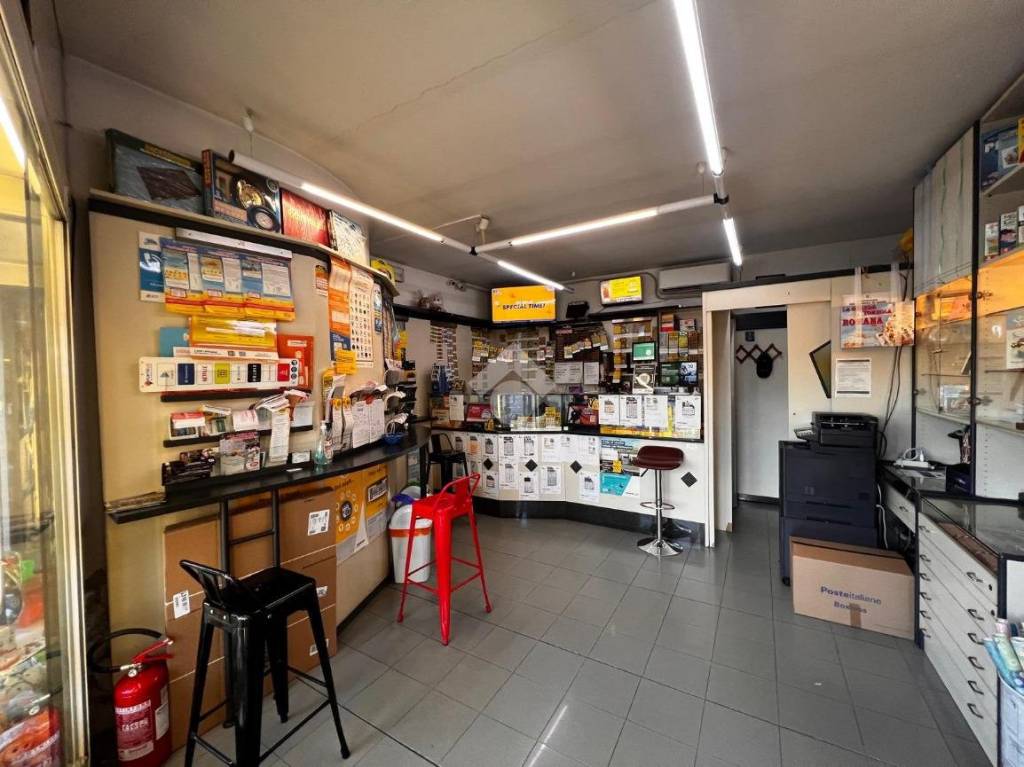 immagine annuncio 10 di 12