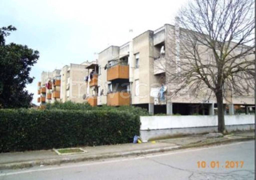 immagine annuncio 10 di 11
