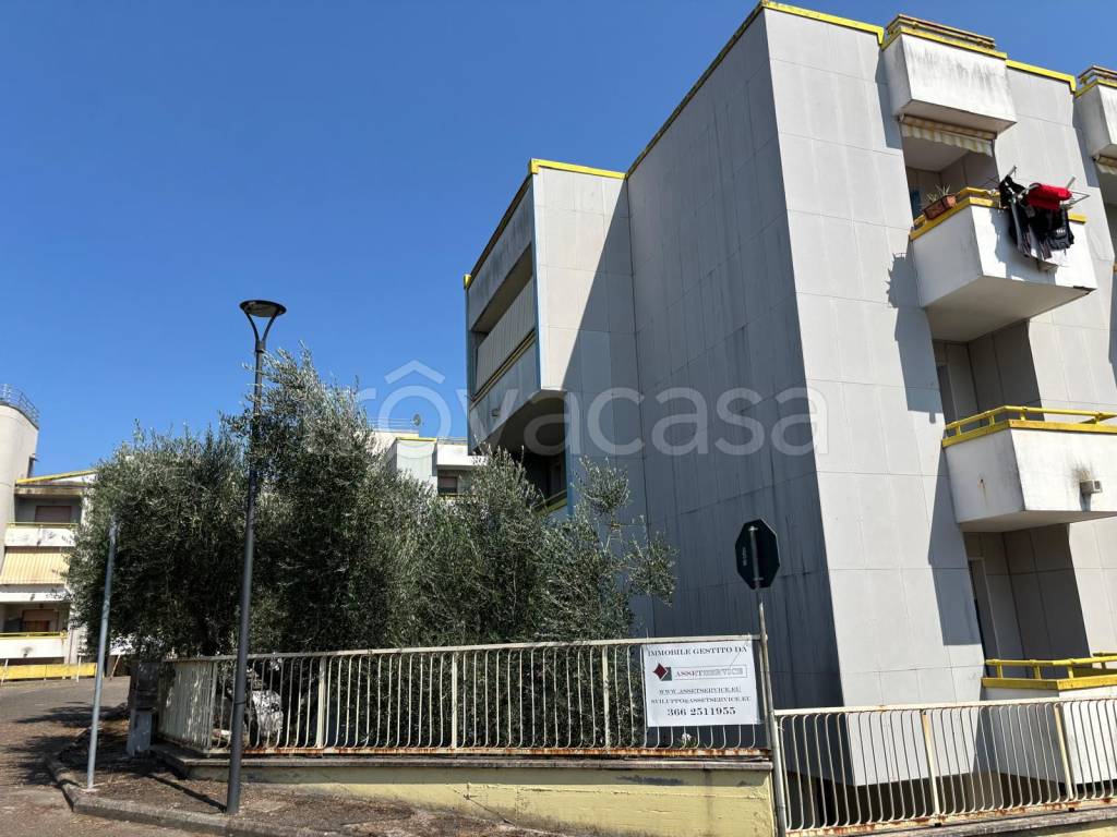 immagine annuncio 14 di 15